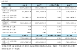 增收不增利 荣盛石化净利下跌37%创9年新低