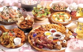 康乃馨傳情 一盆康乃馨的溫柔致敬一顆不放棄的心