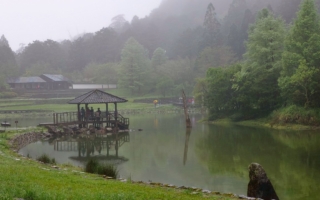 雲霧森林的低語 走進春日的棲蘭與明池