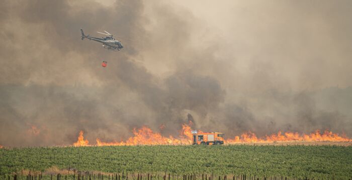 耶路撒冷突发山火 以色列宣布国家紧急状态