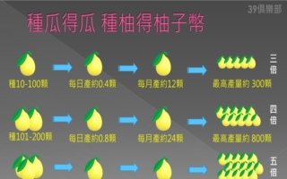 與中國人士合作假投資柚子幣 吸金4千萬逾2千人受害