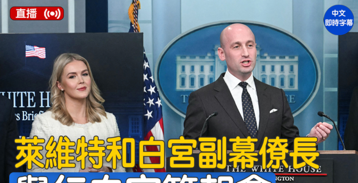 【直播】莱维特和白宫副幕僚长举行简报会（5/1）