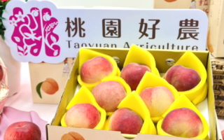 桃园农业局力邀13优秀女力 行销母亲月妈妈桃