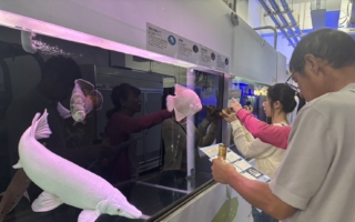 迎接國際博物館日 台海科館系列活動熱鬧登場
