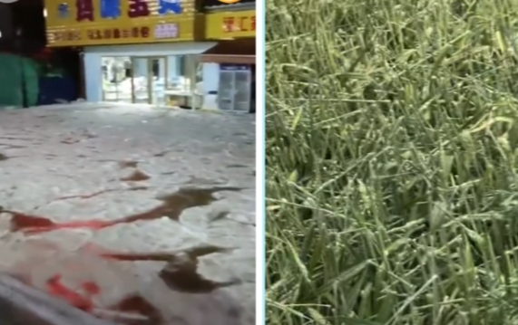 中国多地下冰雹 街道变冰河 农作物受损