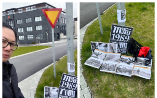 悼念六四 追问病毒真相 冰岛华人中领馆前抗议