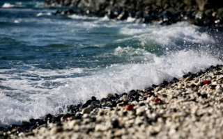 “海时洞书院” 在日常中领略海洋
