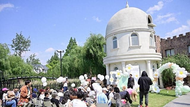 上海狗狗大婚 VS 年轻人结婚数断崖式下跌