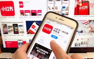 陆民假商务真追星 或被拒入境7年