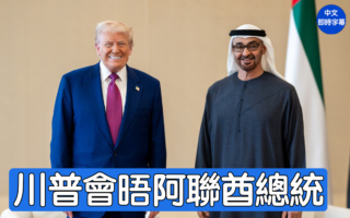 【重播】川普与阿联酋总统会晤