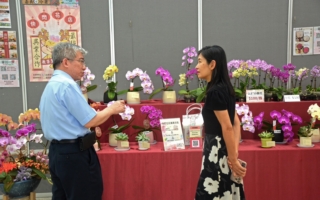 地檢署與行政執行署 蘭花聯展 擴散為民服務