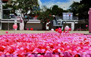 520河乐广场 爱情许愿池现10万颗粉红泡泡球