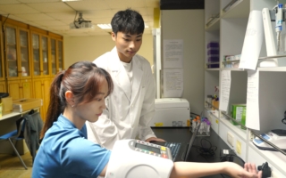 本土85%黑巧克力 调节女性运动后心血管功能