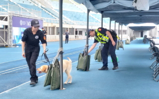 世壮运槌球赛登场 桃警结合警犬队场检维护安全