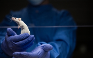研究發現：生物體會發出不可見光