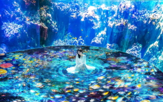 抢先公开 Xpark meets NAKED～Ocean of Light 潜浸海洋