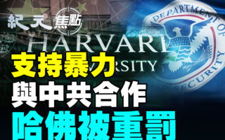 【紀元焦點】大陸「職業背債人」黑幕曝光