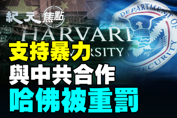 【紀元焦點】大陸「職業背債人」黑幕曝光