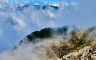 進涼境山林 合歡五月雲上行