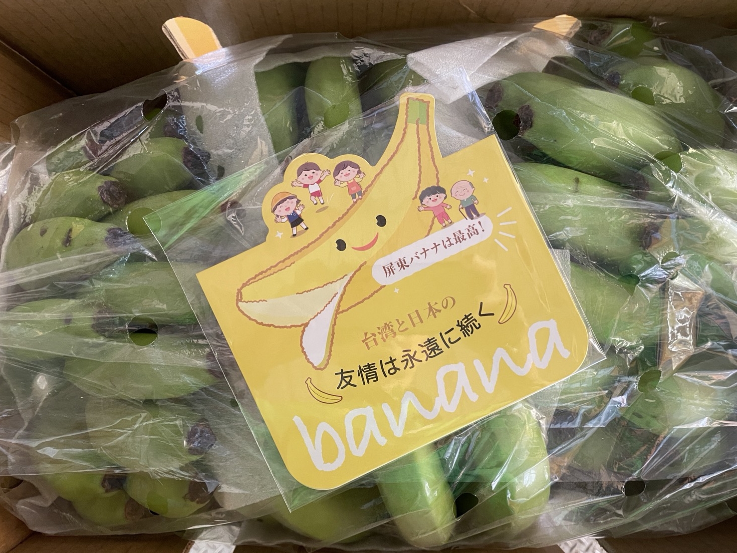 台日老蕉情屏东香蕉出口东京都高龄照护机构| 日本| 大纪元