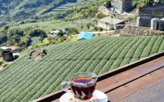 美对中加征关税 台湾茶叶有望拓市