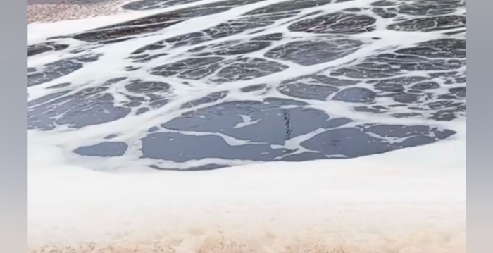 山东废品回收公司多人落入清洗池 5死2病危