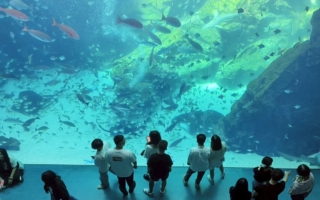 鏡頭下的海洋奇幻之旅 走進桃園 Xpark水族館