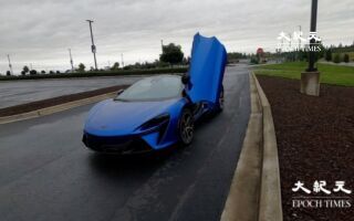 15種不同種類的汽車（下）