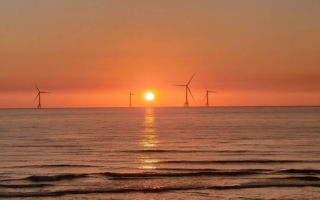 後龍壯闊夕照 、風車與百合花海