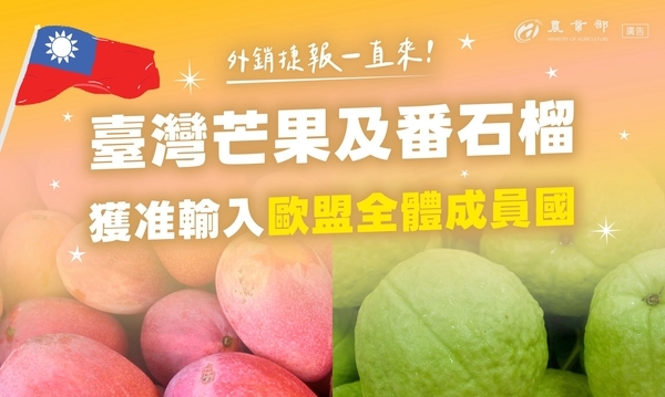 欧盟开放市场 允许台湾芒果和番石榴进口