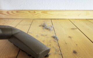 清潔化學品增強居家微生物的耐藥性