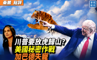 【秦鵬觀察】兩週內決定對伊作戰 川普放虎歸山？