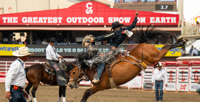 2025卡尔加里牛仔节 动荡时代之夏日盛事