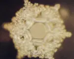 【名家專欄】如果水有記憶 它在記憶什麼？