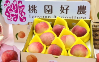 香甜应援！桃园水蜜桃趴入场看棒球免费抽好礼