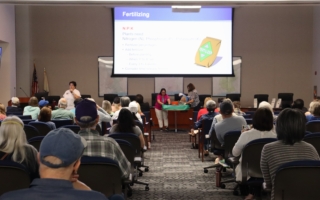 爾灣公益講座 教你在自家花園種植沙拉蔬菜