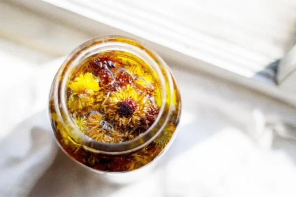金盞花：用於皮膚口腔及癌症護理的古老療方