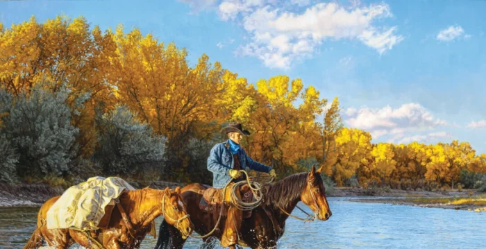 id14544781-1-1-43-cowboy-