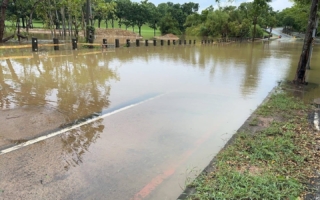 毀澄清湖森林建滯洪池淹水 水利局：洩水孔阻塞無關工程
