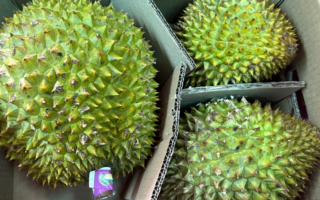 越南榴槤檢出農藥殘留超標 逾萬公斤退運銷毀