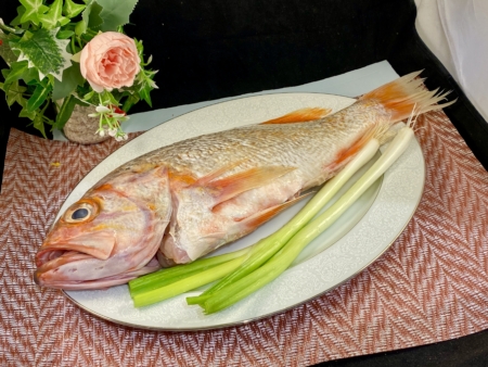 石斑魚