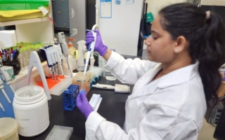 中正大學最新研究 抗過敏藥將成抗癌新武器