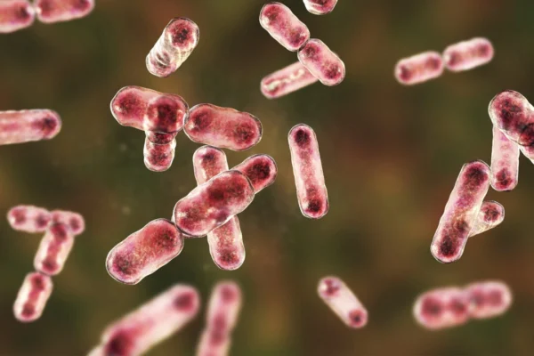 劍橋研究：腸道益菌或助你排毒防癌