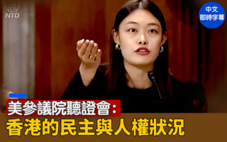 【直播】參議院聽證會:香港的民主與人權狀況