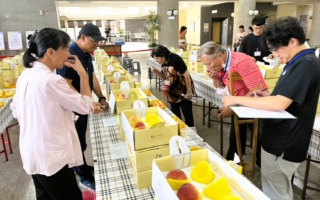 台中水蜜桃达人出炉 和平区汪焕洲夺冠