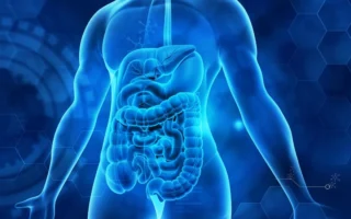 黏液:揭示其在抵抗疾病中的關鍵作用