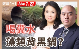 喝下糞水？杭州爆「全城水臭」災難！