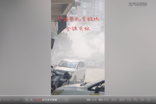 廣東12城爆發基孔肯雅熱 運動式滅蚊惹民怨