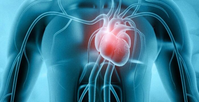 你听过心脏癌吗? 为什么它非常罕见?