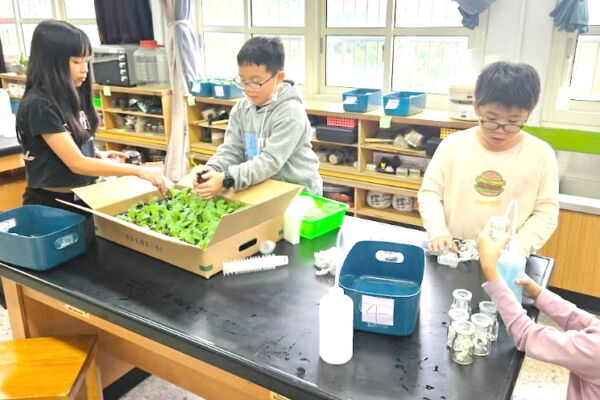 不插电食在地 桃园潜龙国小跨领域展自信